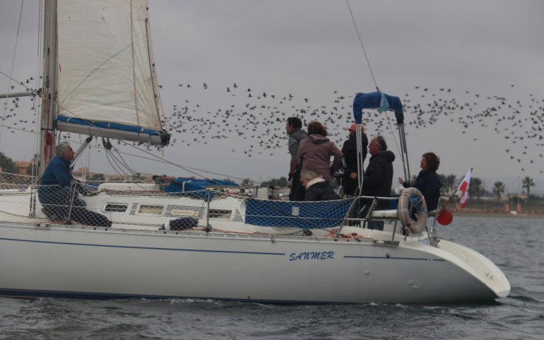 Miles de cormoranes en la regata del G.P. Estrella de Levante (Fotos: José Mª Falgas)